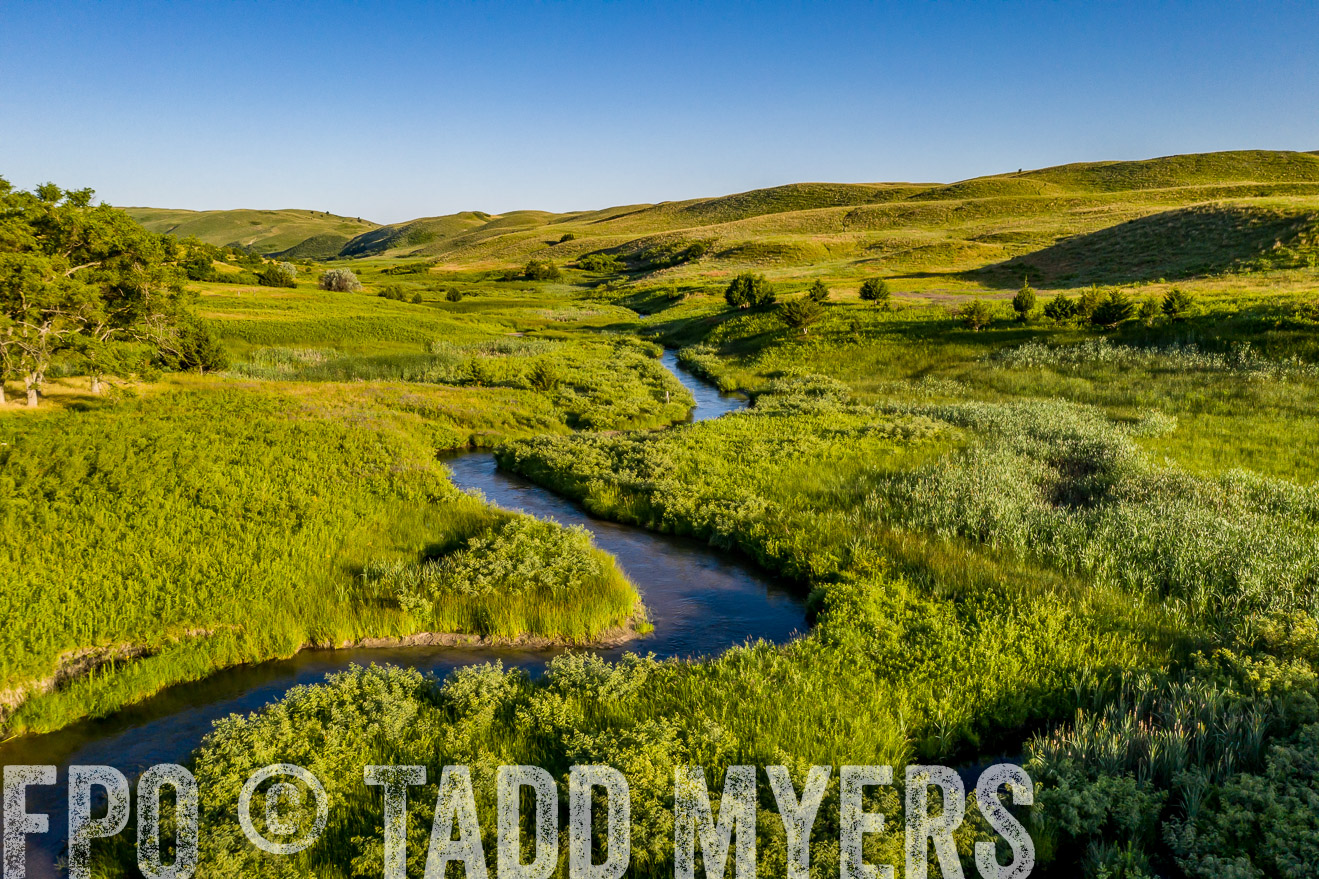 PP_TuckerRanch_NE_July2019-0682