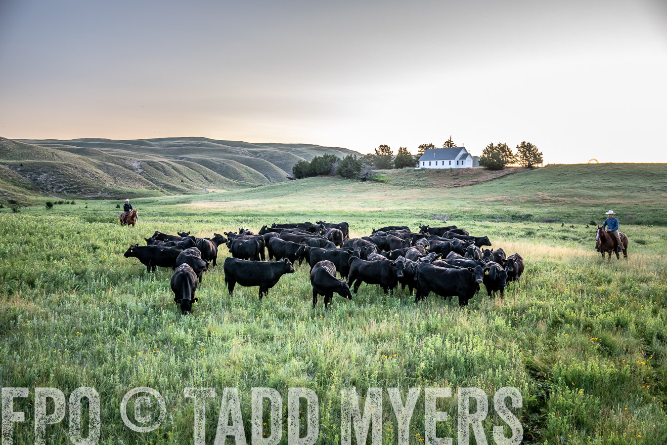 PP_TuckerRanch_NE_July2019-40462