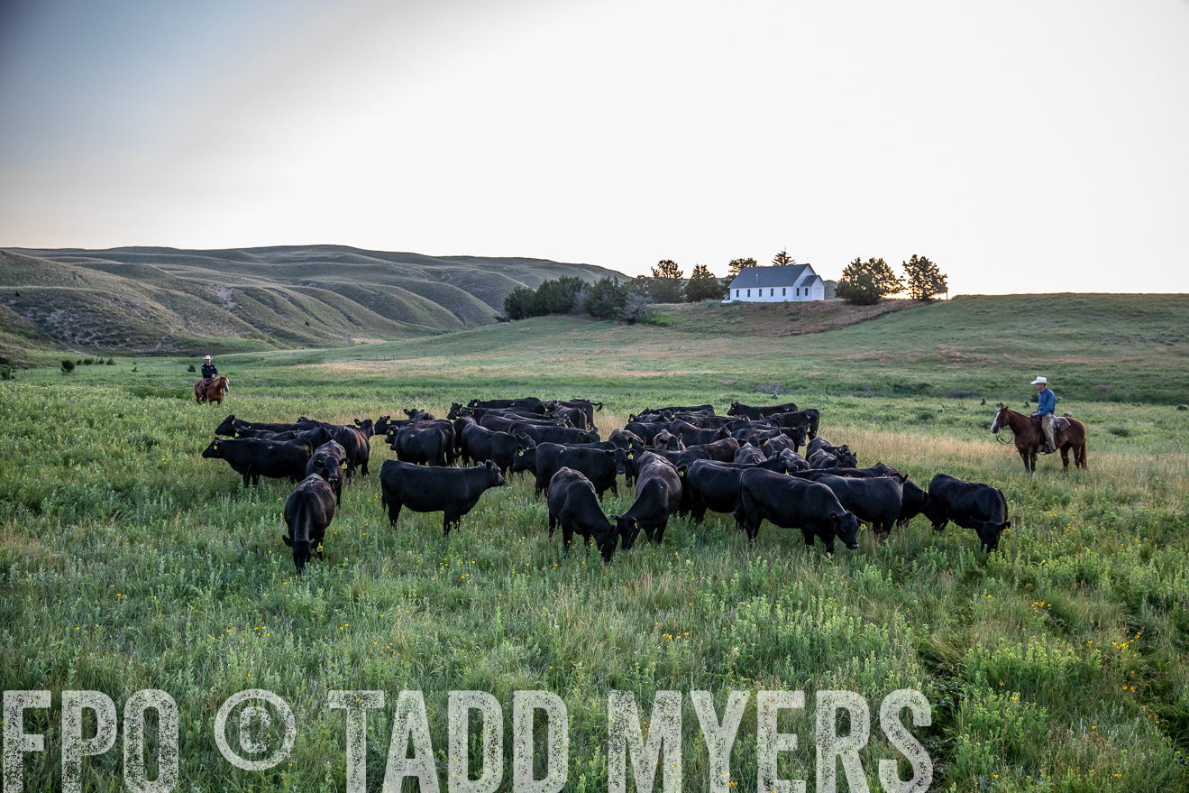 PP_TuckerRanch_NE_July2019-40476
