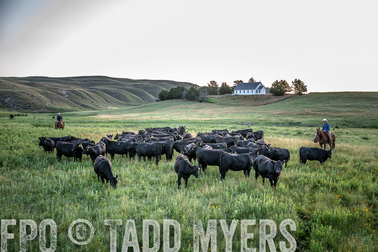 PP_TuckerRanch_NE_July2019-40494