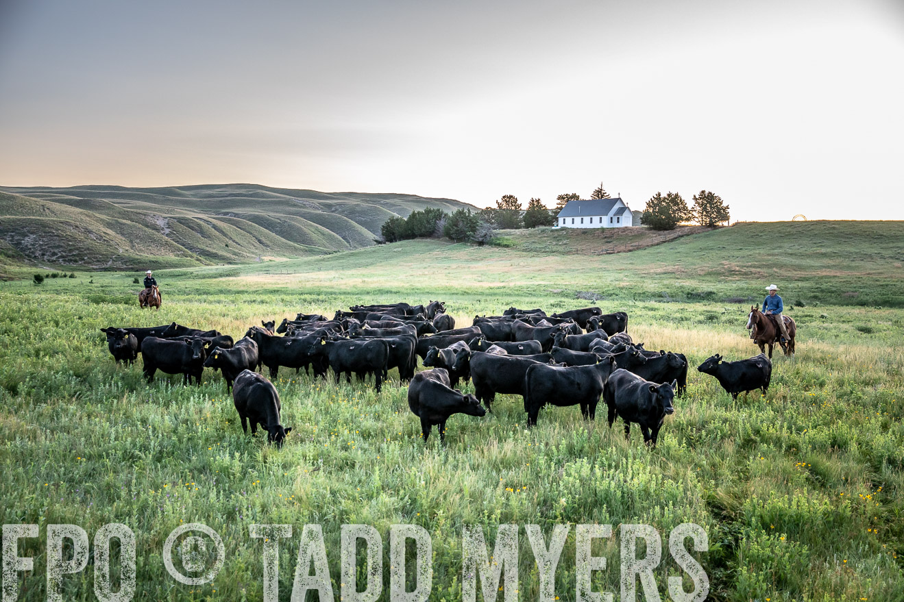 PP_TuckerRanch_NE_July2019-40498
