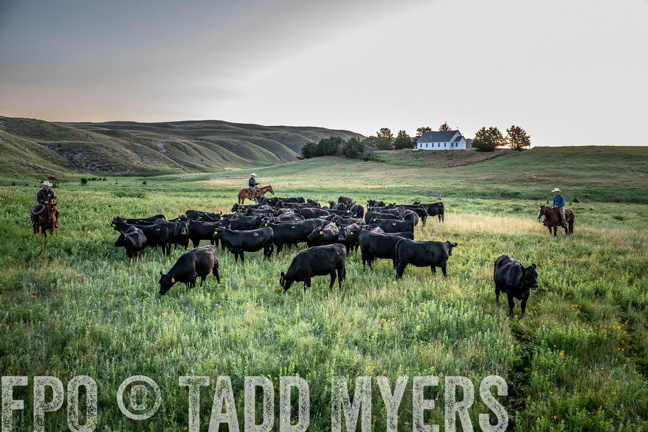 PP_TuckerRanch_NE_July2019-40525