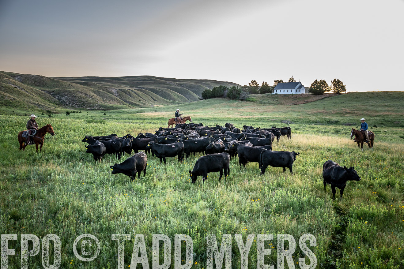 PP_TuckerRanch_NE_July2019-40528