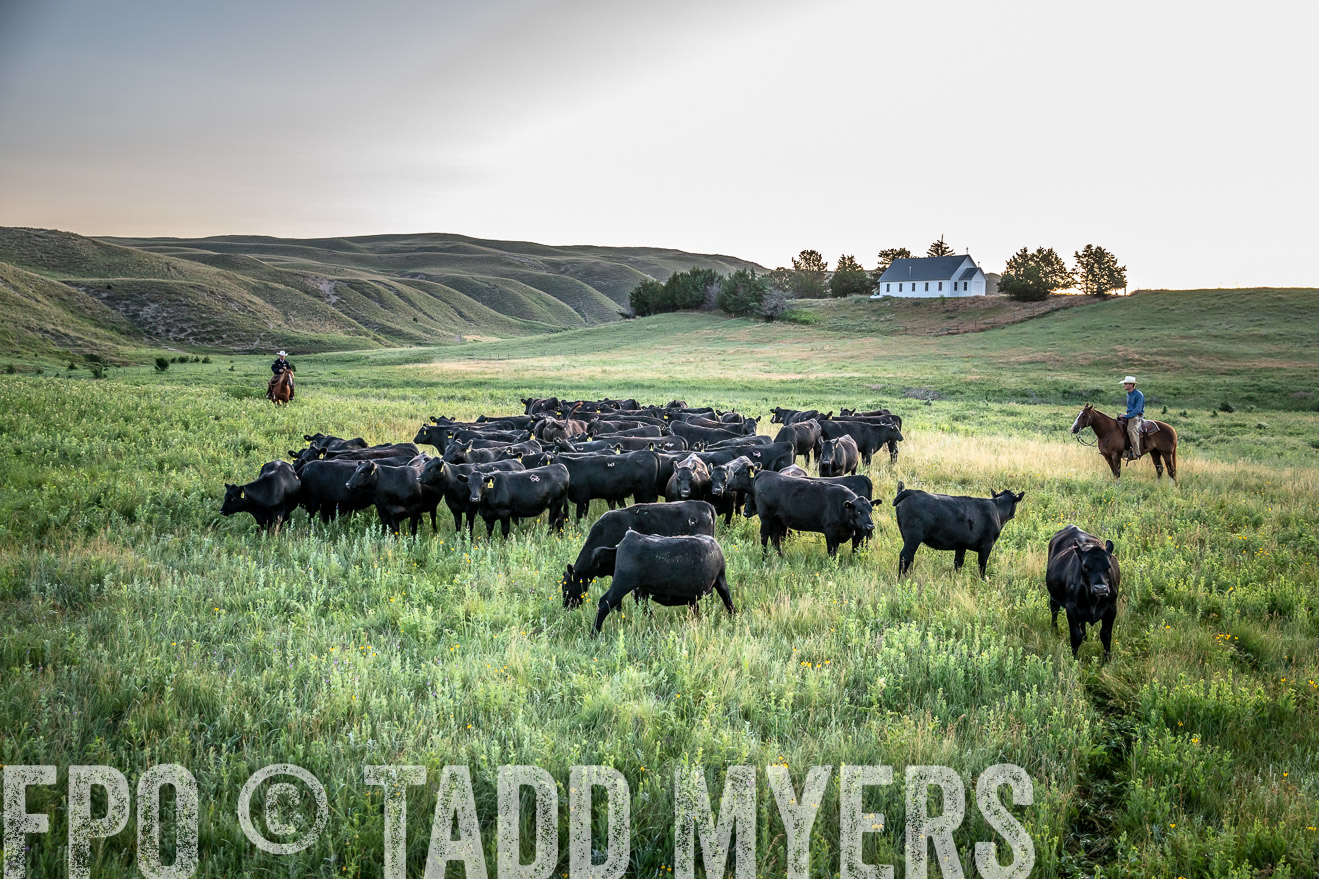 PP_TuckerRanch_NE_July2019-40546