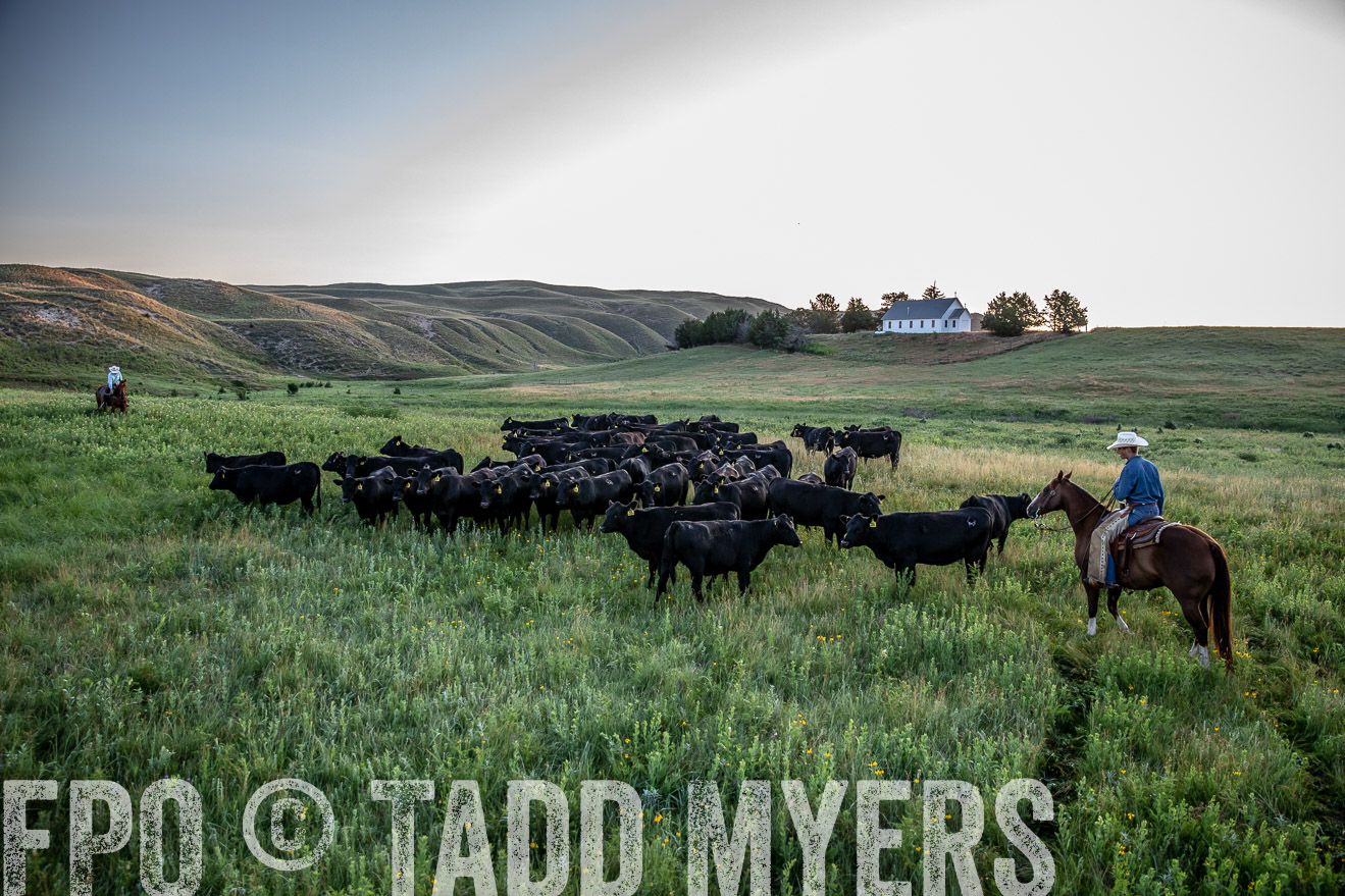 PP_TuckerRanch_NE_July2019-40555