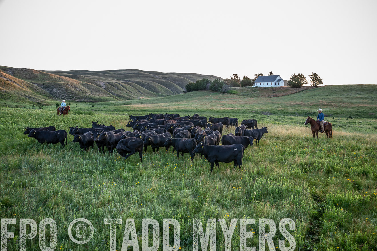 PP_TuckerRanch_NE_July2019-40559