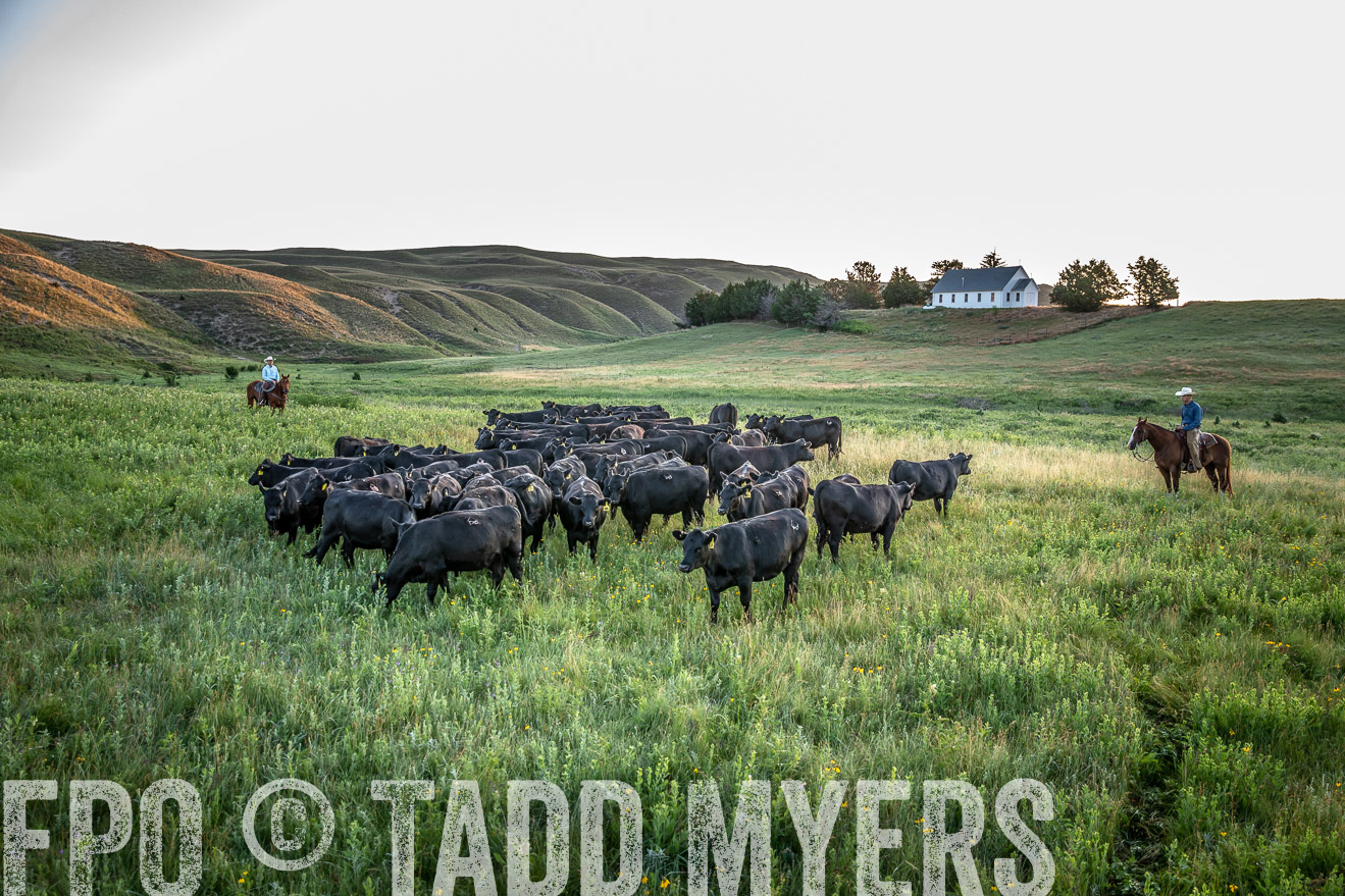 PP_TuckerRanch_NE_July2019-40583