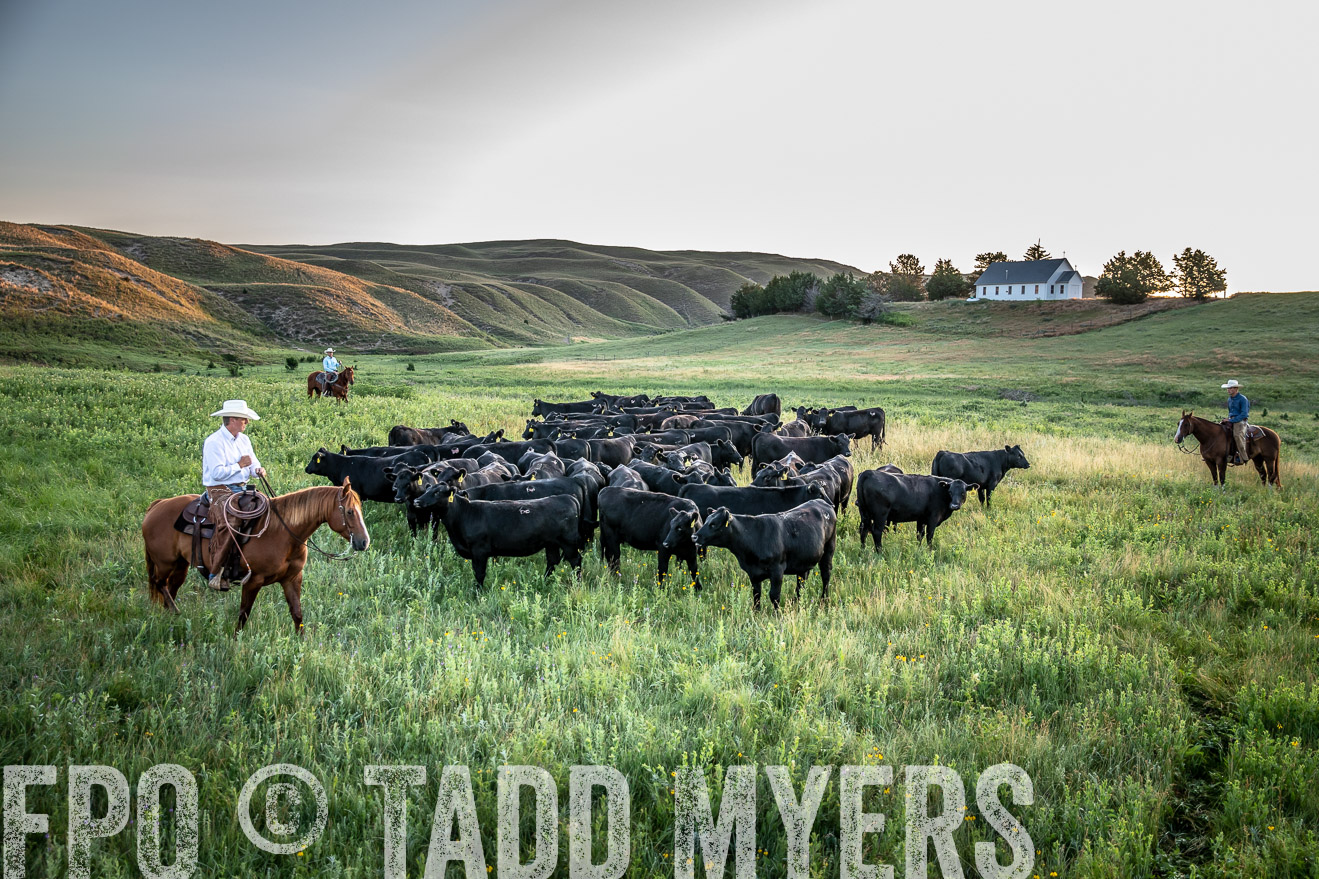 PP_TuckerRanch_NE_July2019-40587