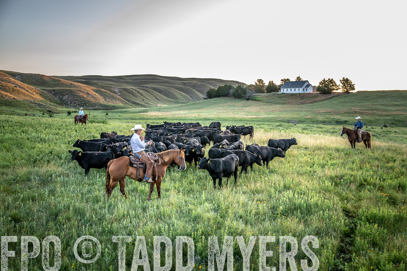 PP_TuckerRanch_NE_July2019-40596