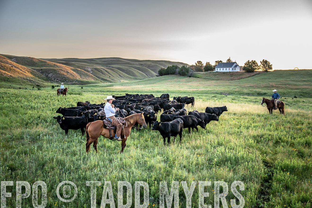 PP_TuckerRanch_NE_July2019-40597