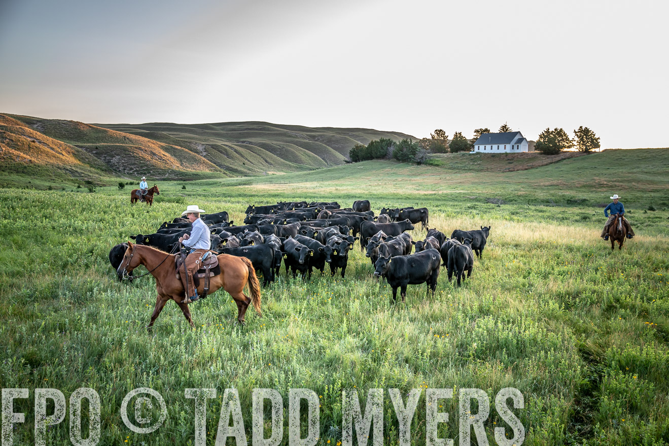 PP_TuckerRanch_NE_July2019-40605