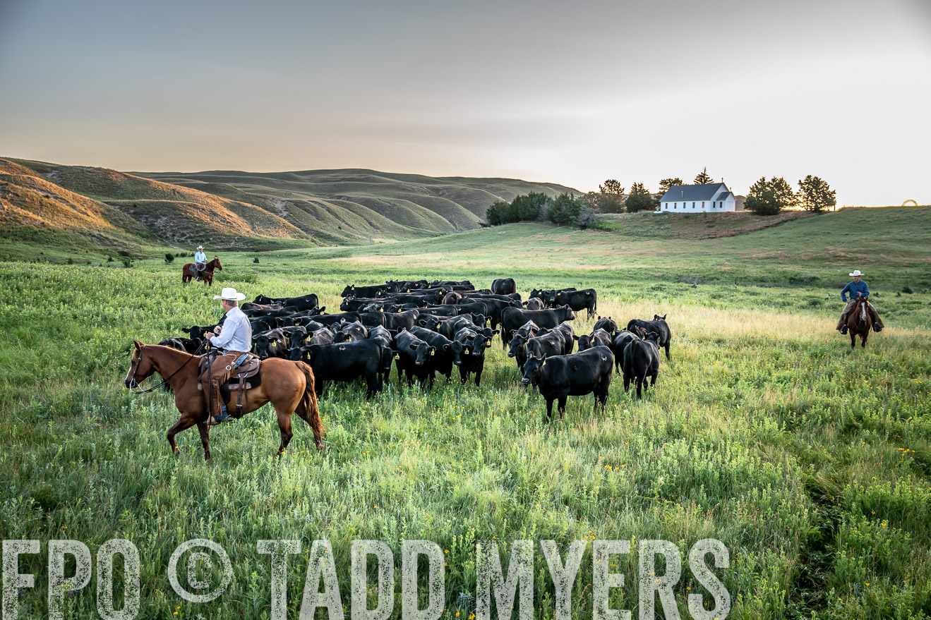 PP_TuckerRanch_NE_July2019-40606