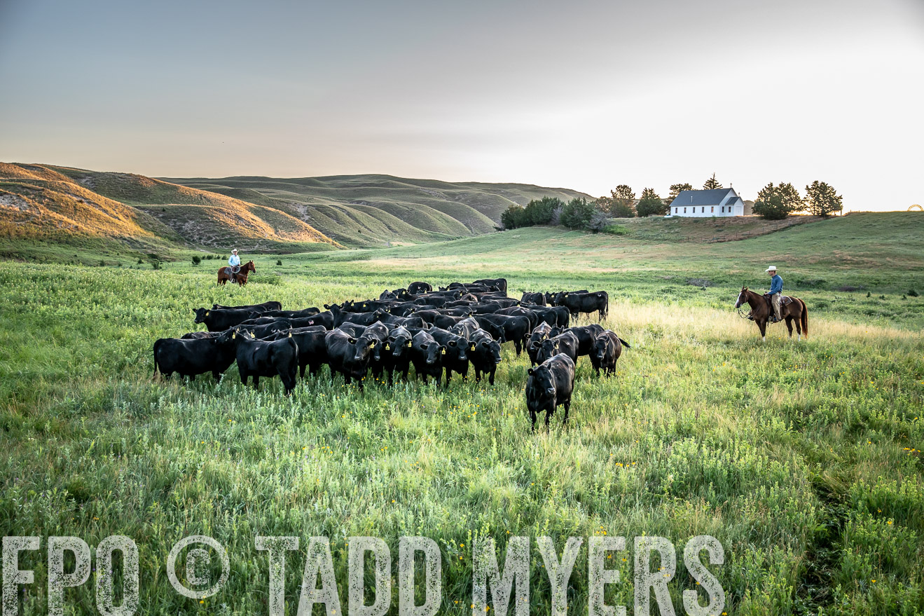 PP_TuckerRanch_NE_July2019-40615