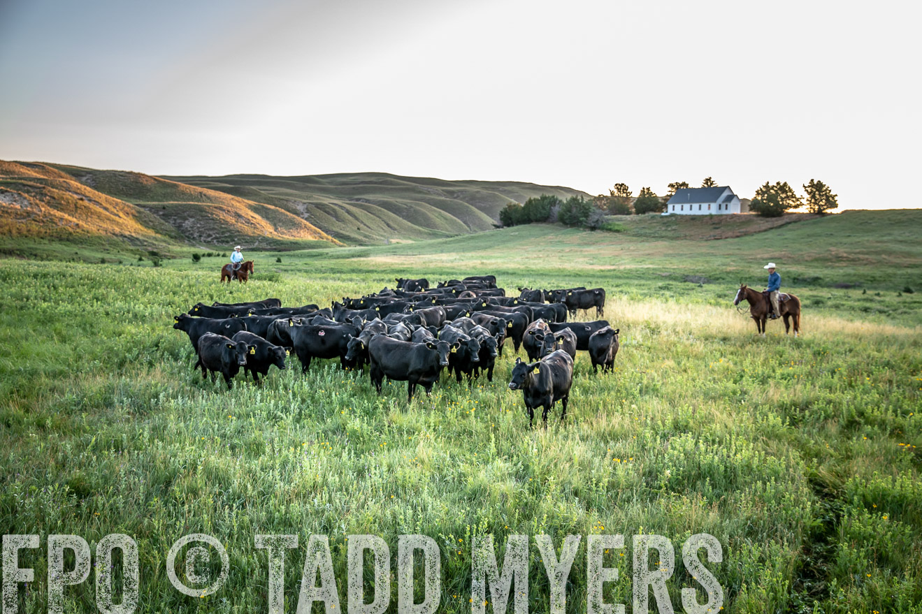 PP_TuckerRanch_NE_July2019-40617