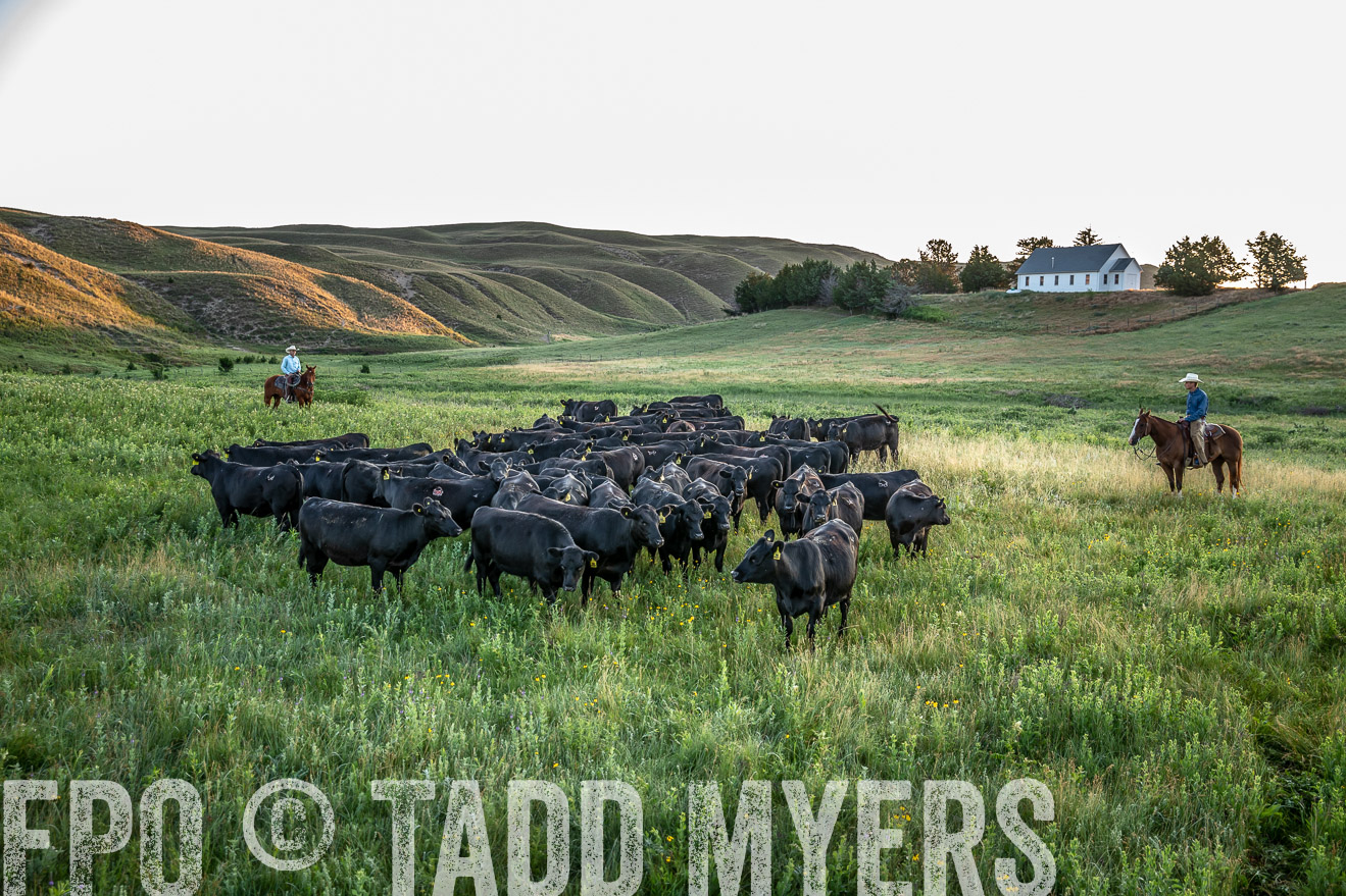 PP_TuckerRanch_NE_July2019-40622