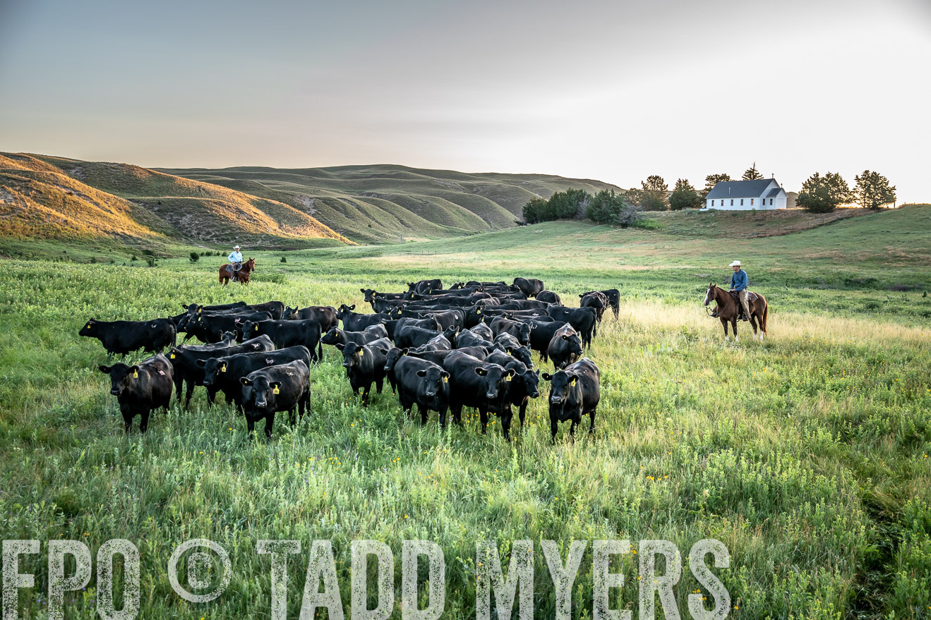 PP_TuckerRanch_NE_July2019-40630