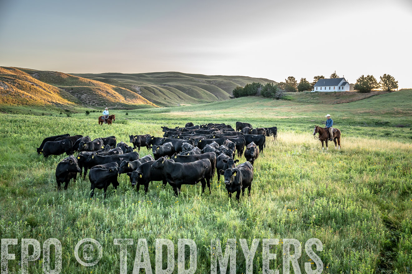 PP_TuckerRanch_NE_July2019-40642