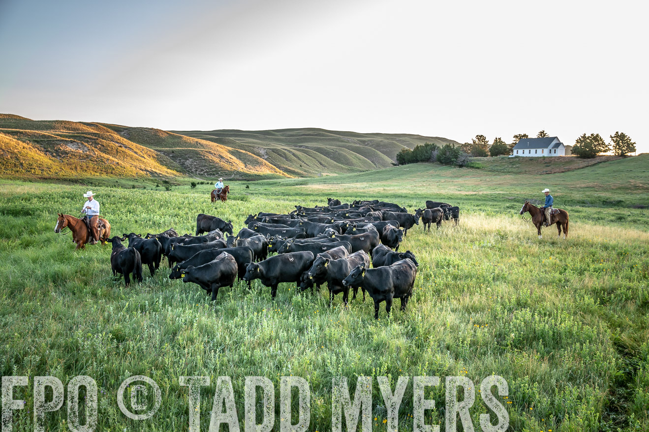 PP_TuckerRanch_NE_July2019-40650