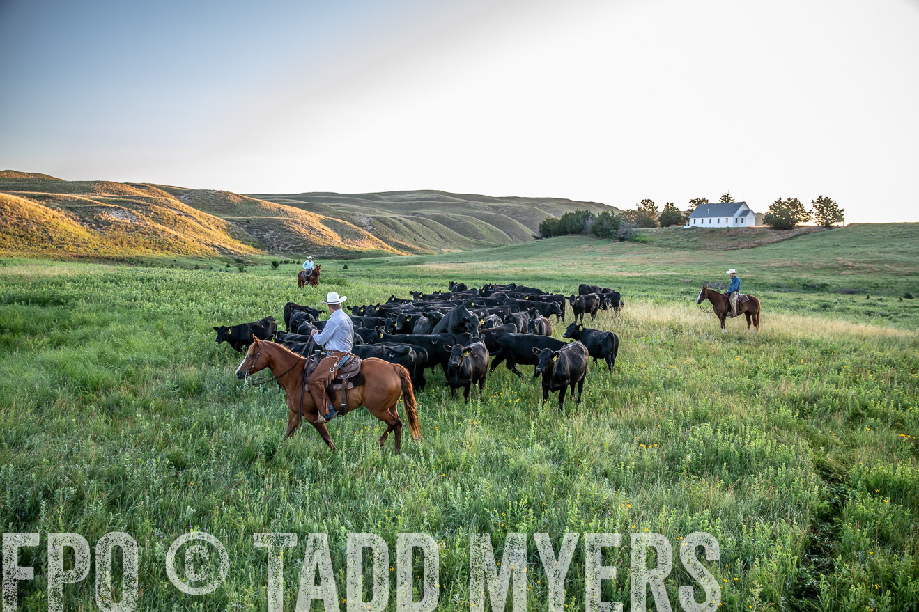 PP_TuckerRanch_NE_July2019-40660