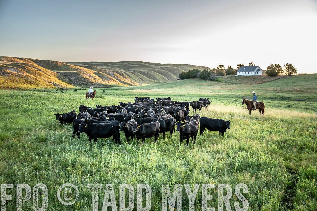 PP_TuckerRanch_NE_July2019-40679