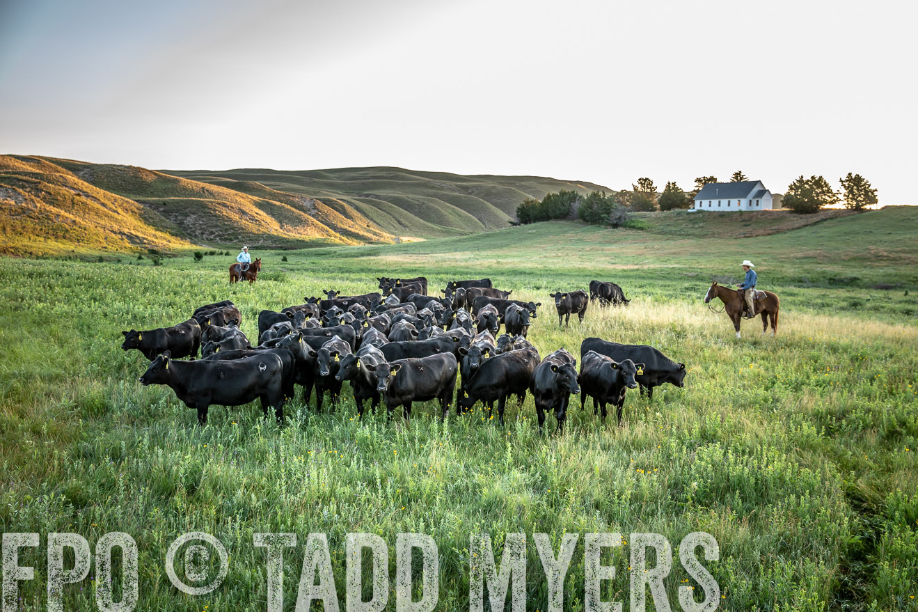 PP_TuckerRanch_NE_July2019-40684