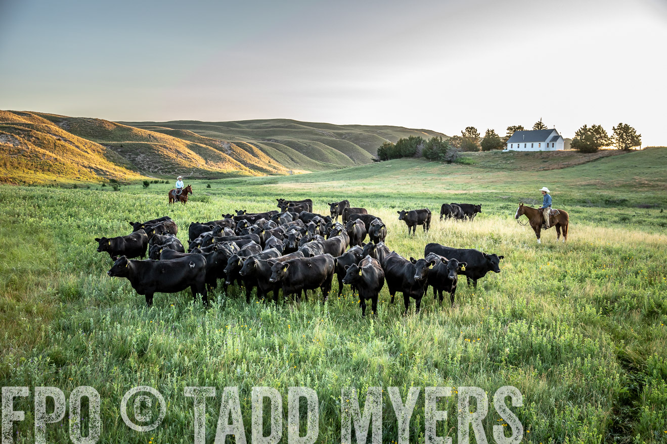 PP_TuckerRanch_NE_July2019-40688