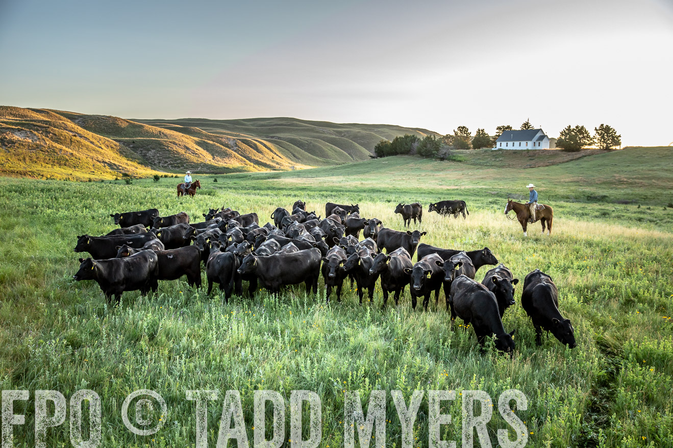PP_TuckerRanch_NE_July2019-40733