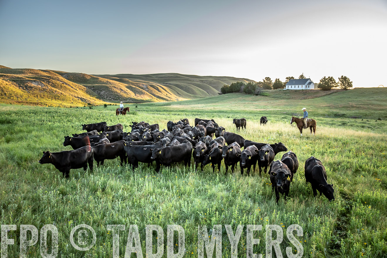 PP_TuckerRanch_NE_July2019-40745
