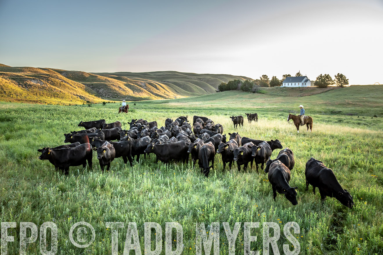 PP_TuckerRanch_NE_July2019-40751