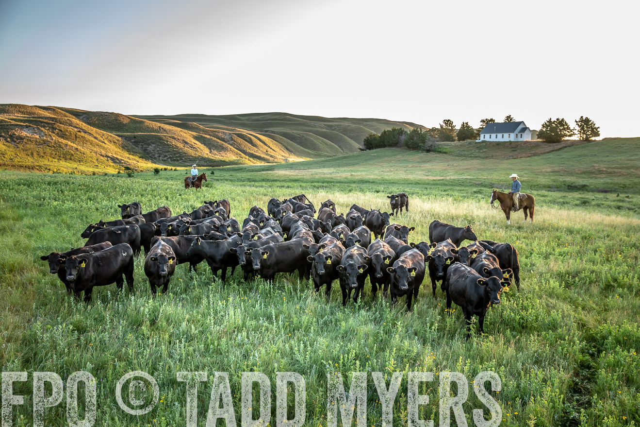 PP_TuckerRanch_NE_July2019-40765
