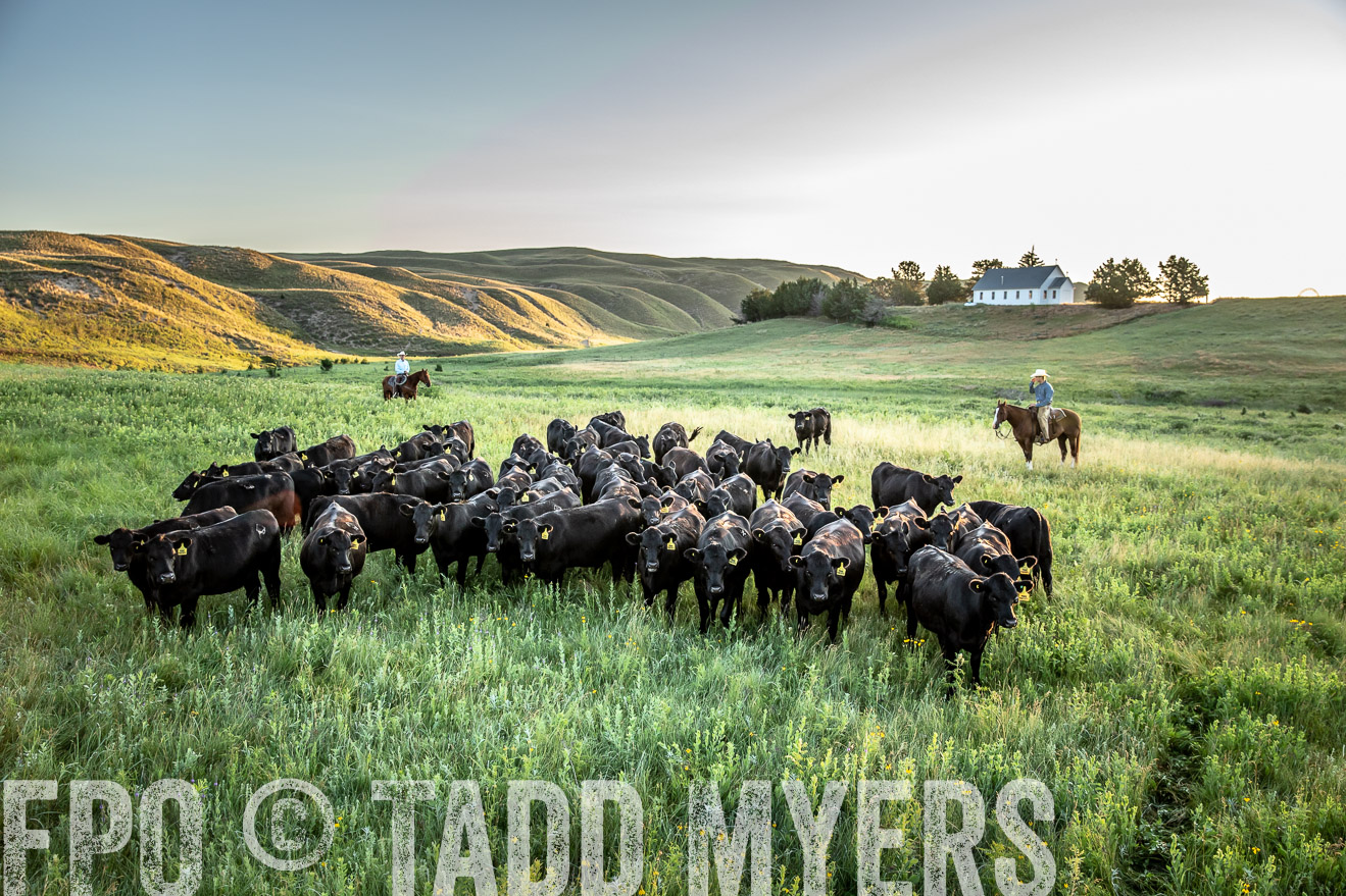 PP_TuckerRanch_NE_July2019-40769