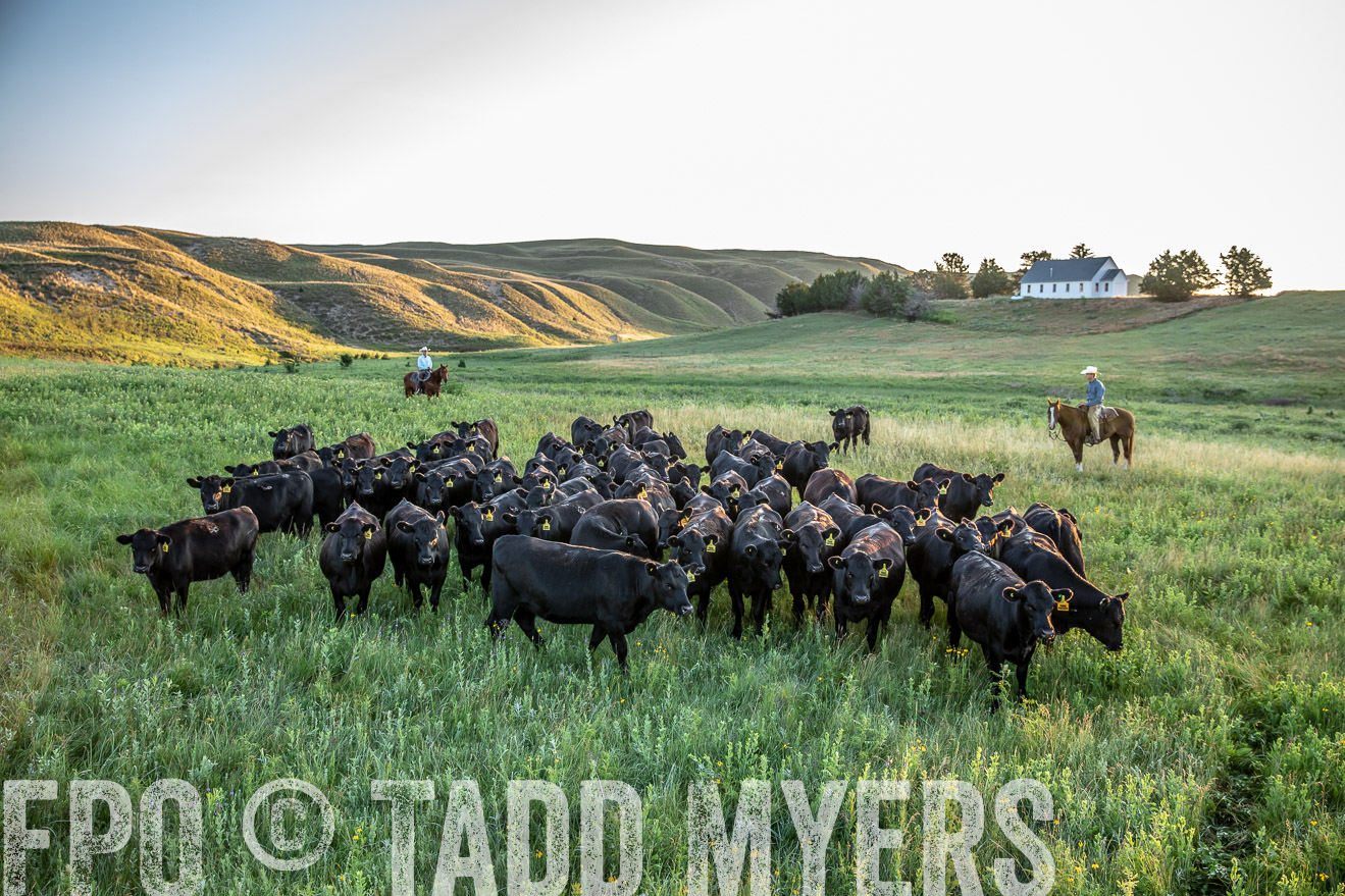 PP_TuckerRanch_NE_July2019-40777