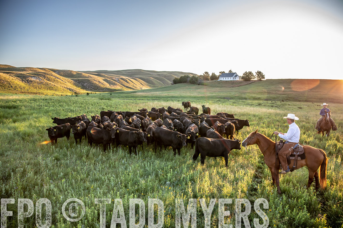 PP_TuckerRanch_NE_July2019-40791