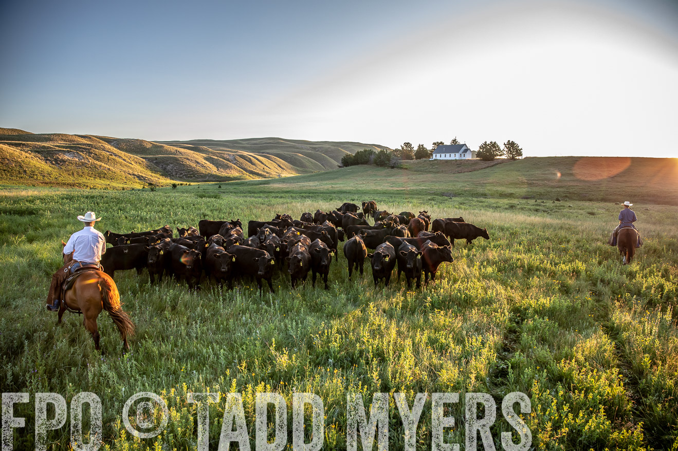 PP_TuckerRanch_NE_July2019-40809