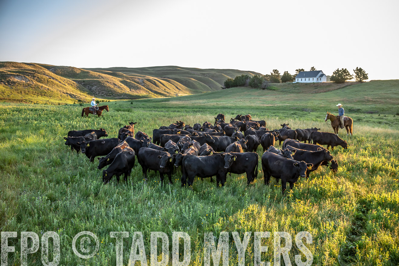 PP_TuckerRanch_NE_July2019-40820