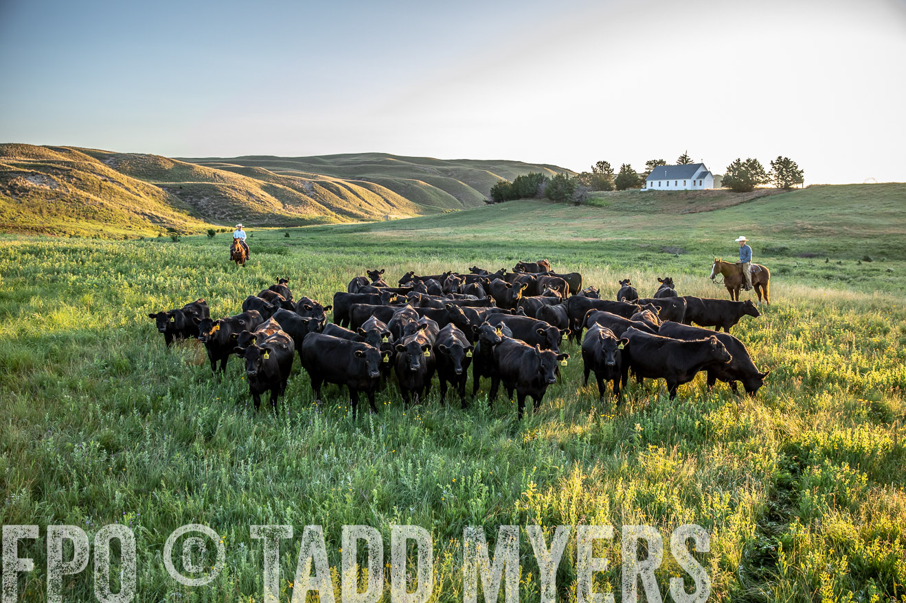 PP_TuckerRanch_NE_July2019-40839