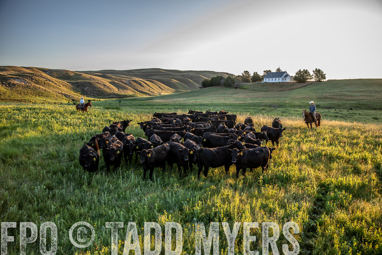 PP_TuckerRanch_NE_July2019-40863