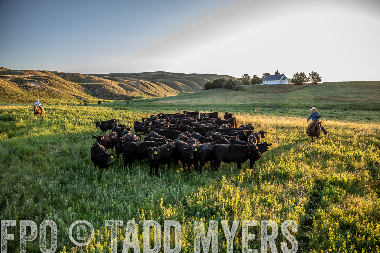 PP_TuckerRanch_NE_July2019-40875
