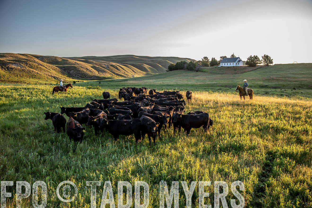 PP_TuckerRanch_NE_July2019-40881
