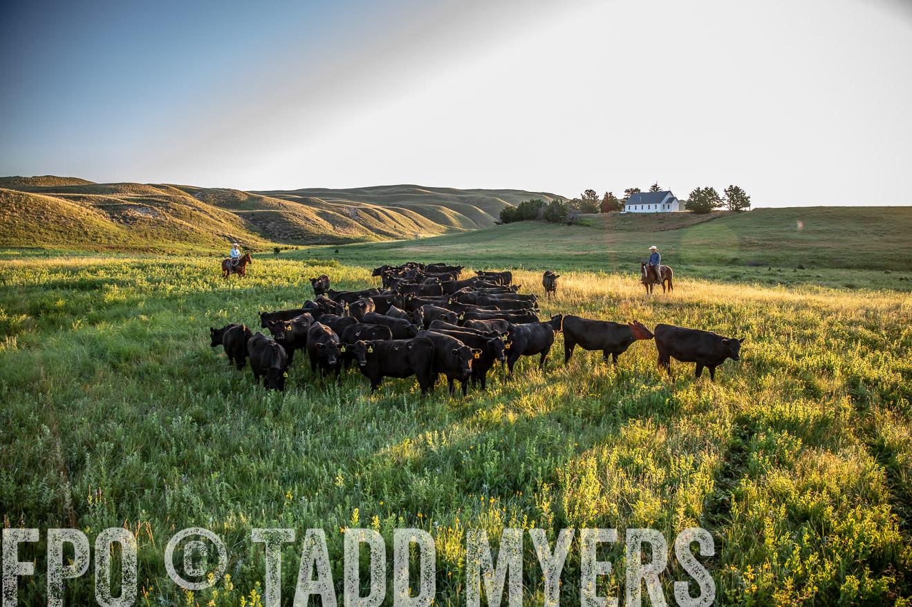 PP_TuckerRanch_NE_July2019-40898