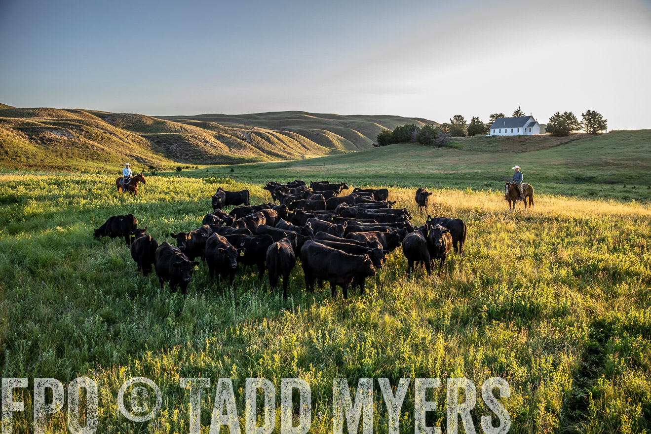 PP_TuckerRanch_NE_July2019-40902