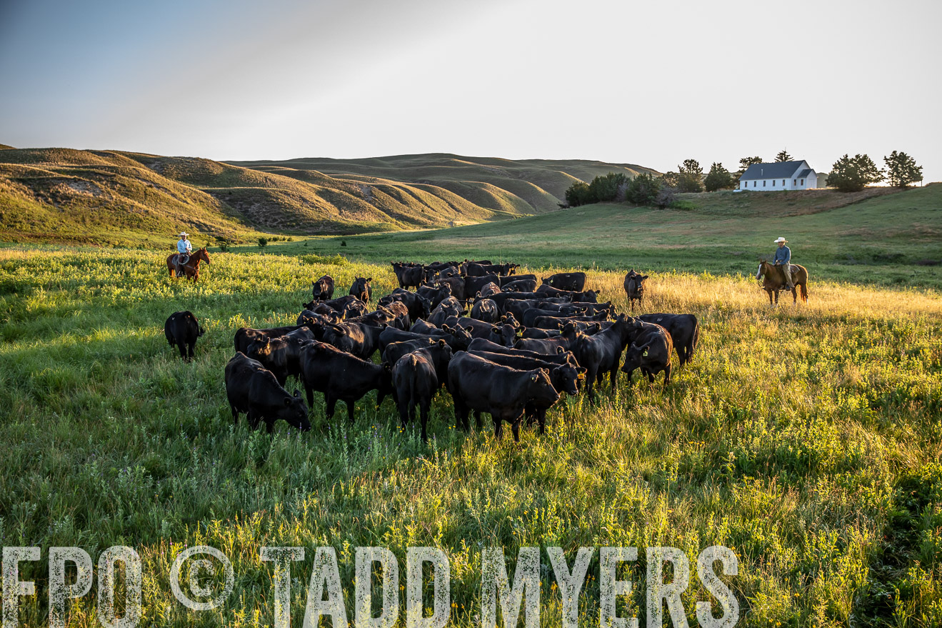 PP_TuckerRanch_NE_July2019-40913