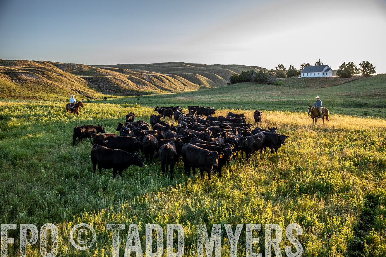 PP_TuckerRanch_NE_July2019-40920
