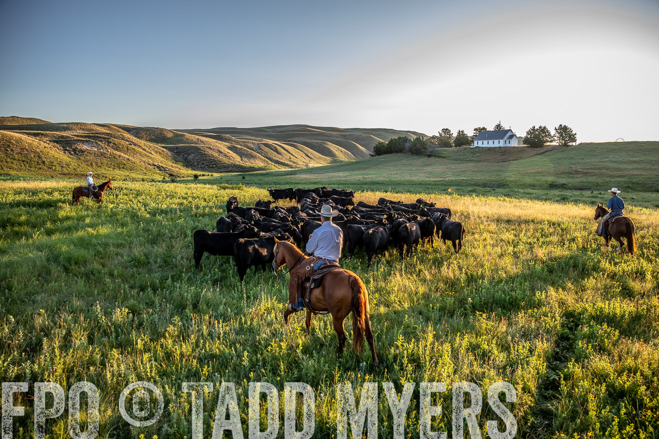 PP_TuckerRanch_NE_July2019-40935