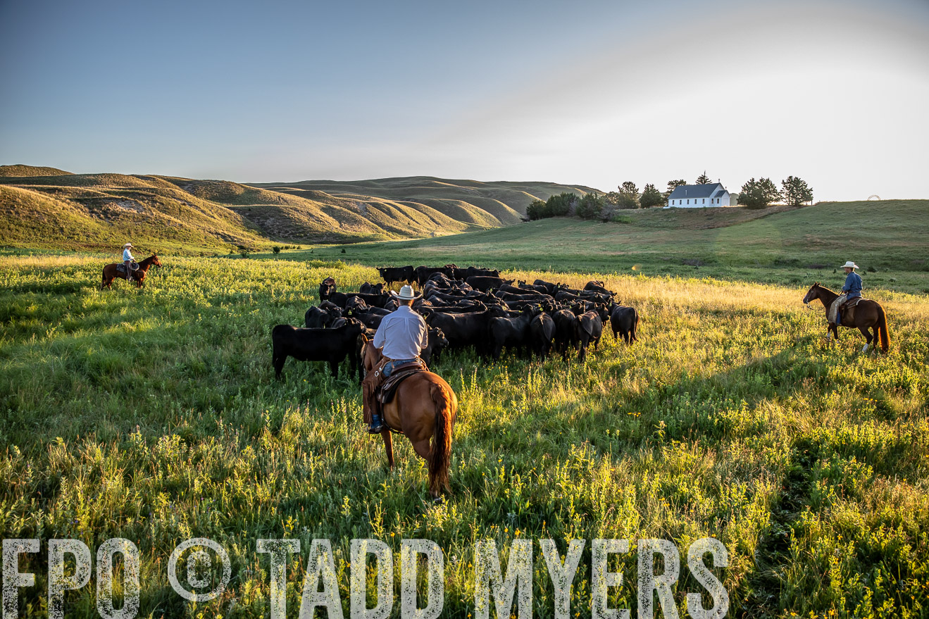 PP_TuckerRanch_NE_July2019-40938