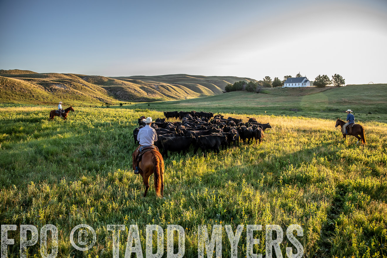 PP_TuckerRanch_NE_July2019-40941