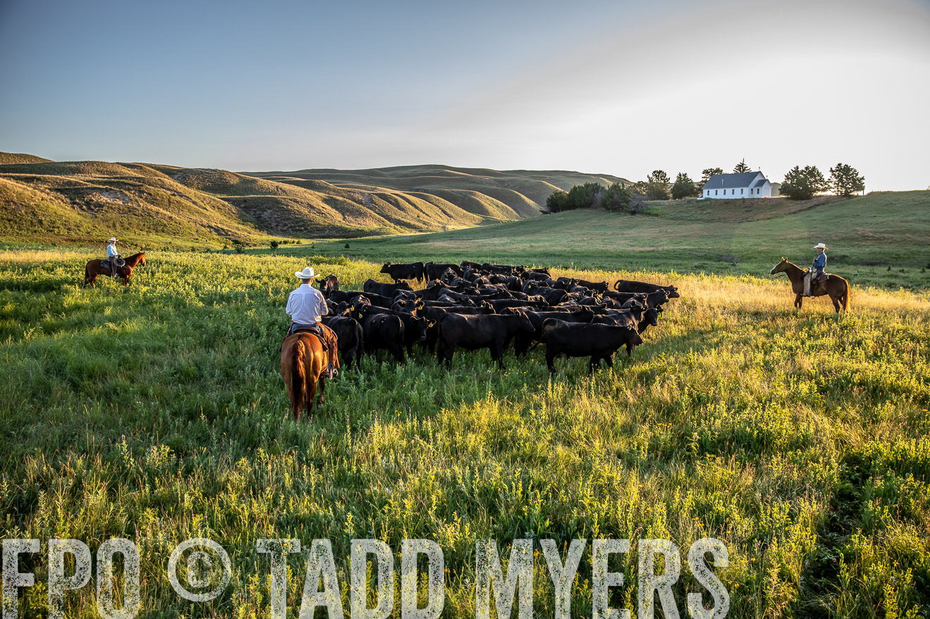 PP_TuckerRanch_NE_July2019-40950