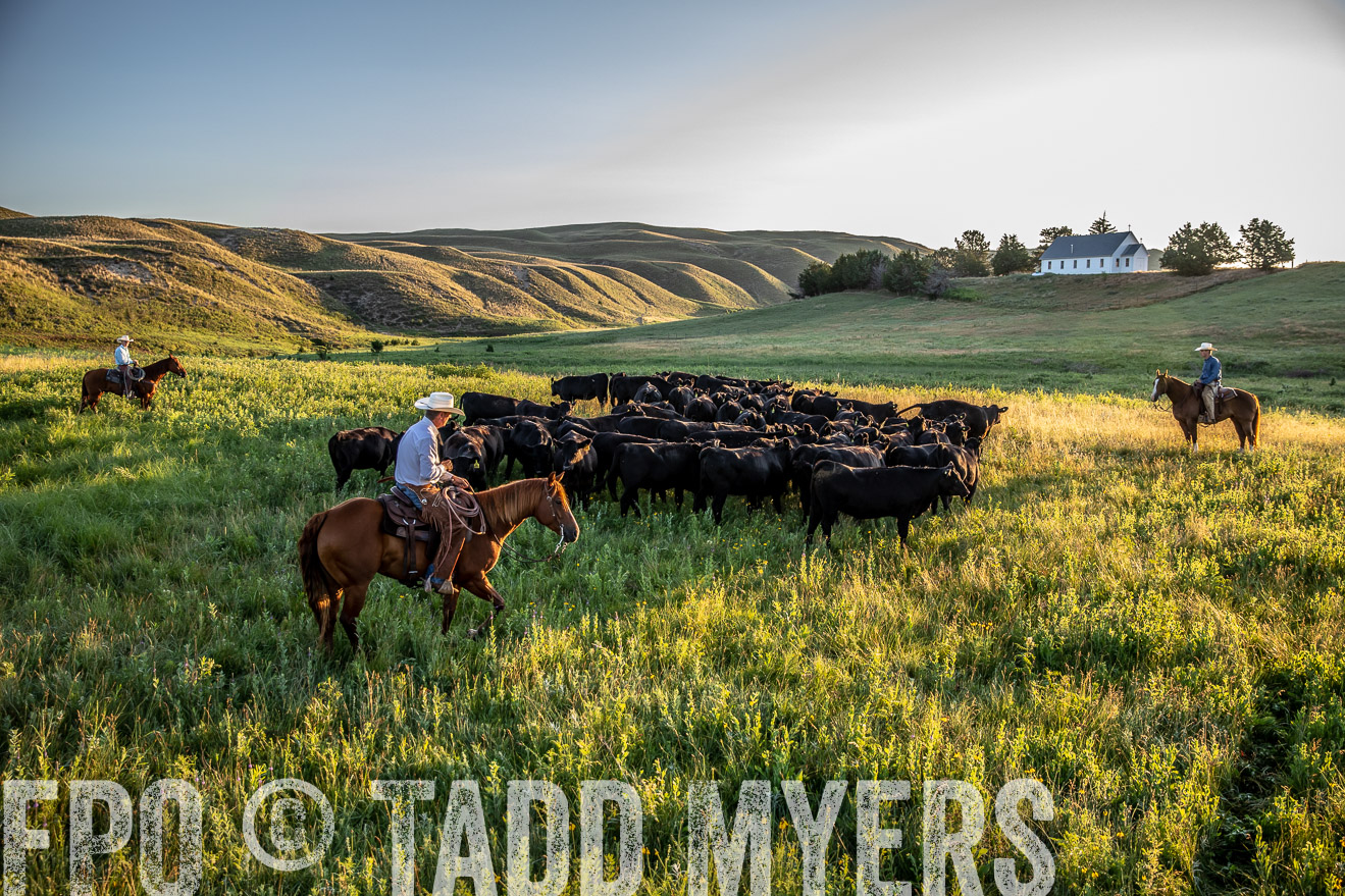 PP_TuckerRanch_NE_July2019-40956