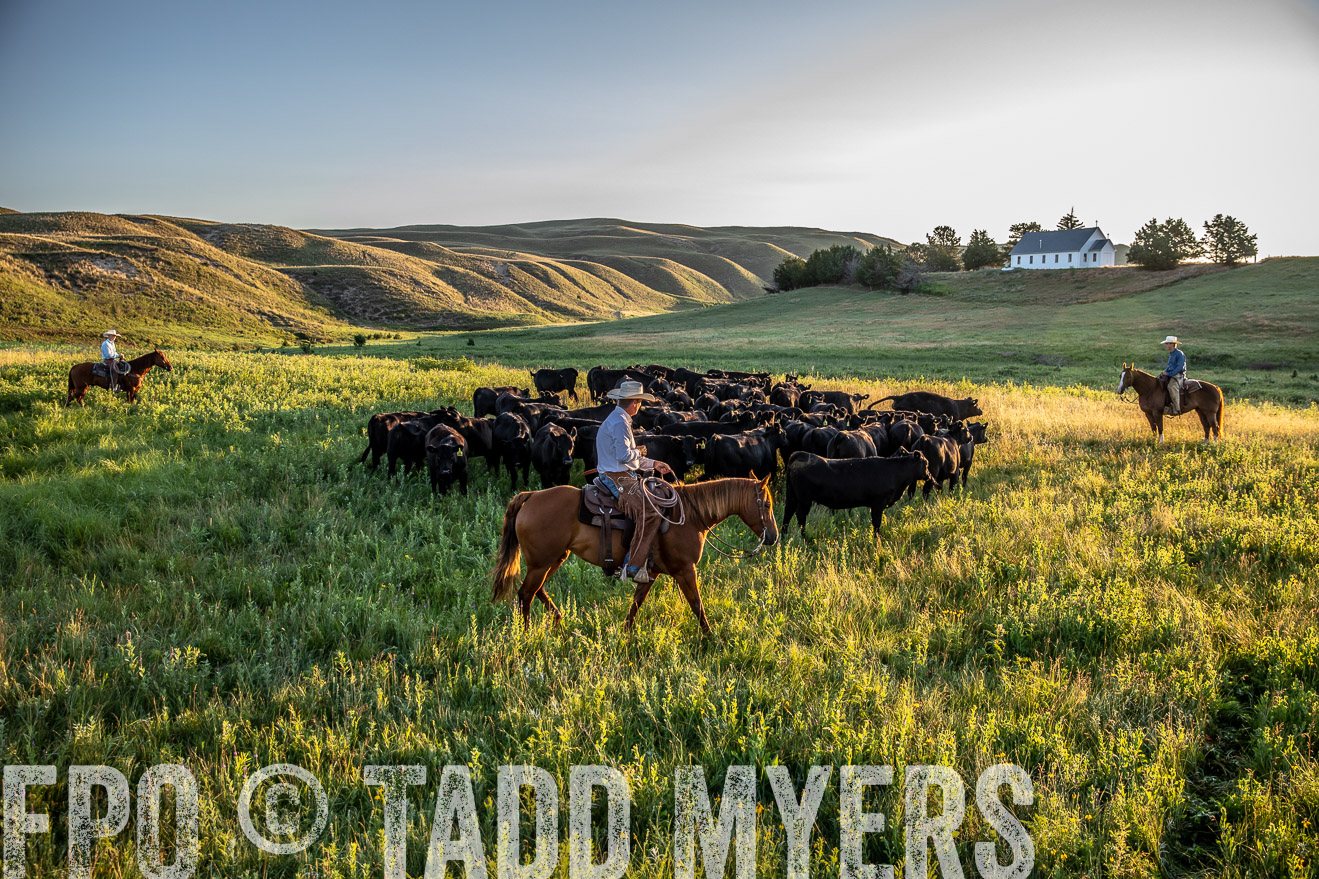 PP_TuckerRanch_NE_July2019-40959