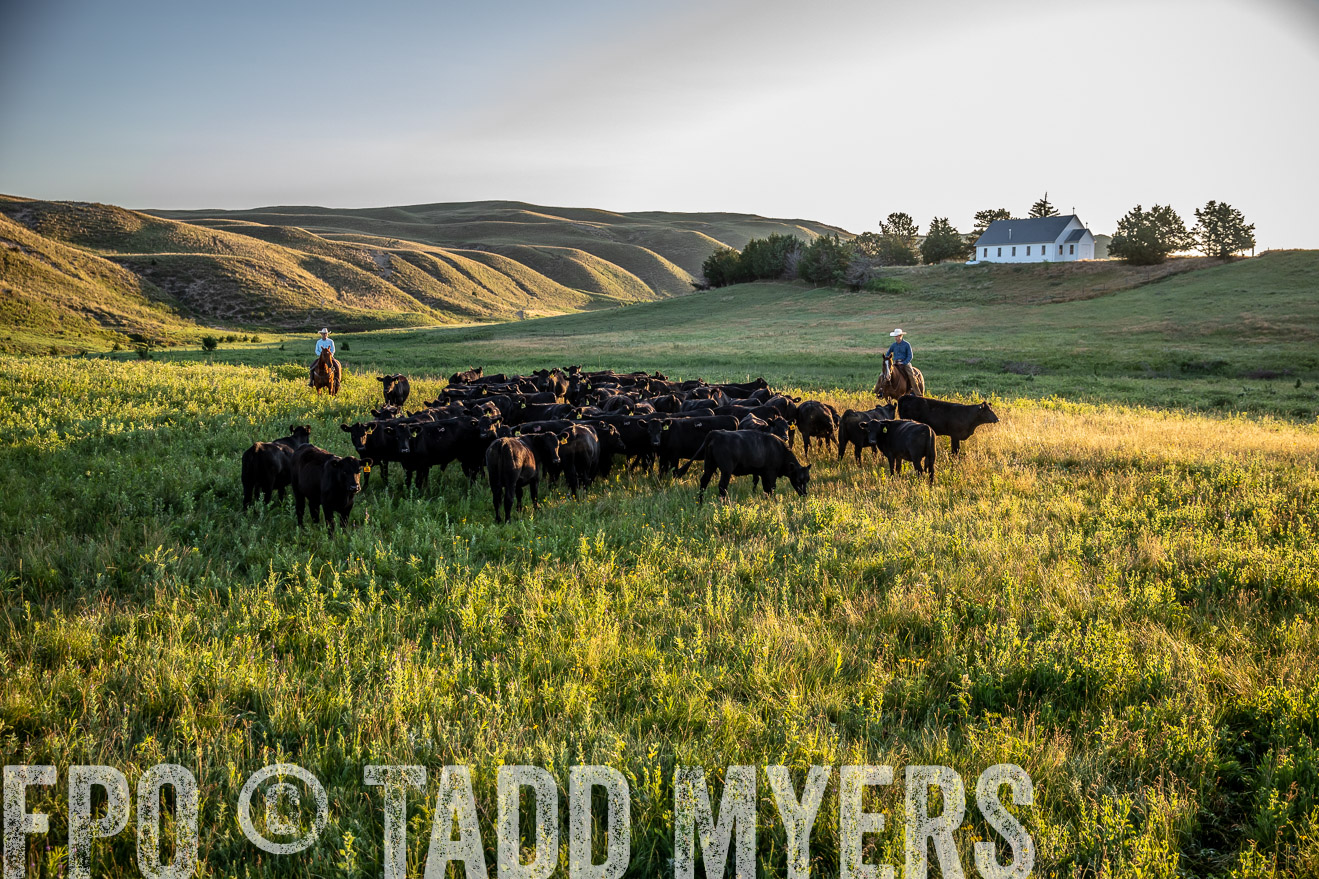 PP_TuckerRanch_NE_July2019-40968